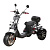 Трицикл Citycoco Skyboard Trike BR60 3000W PRO