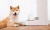 Автоматическая кормушка Xiaomi Mijia Smart Pet Feeder XWPF01MG White