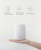 Ароматизатор воздуха Xiaomi HL Aroma Diffuser розовый